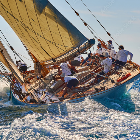 Regatta: Protezione e Qualità per le Tue Avventure all'Aperto