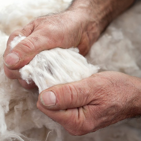 Vesti: Personalizza il Tuo Stile Unico