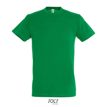 REGENT - 272 - VERDE PRATO