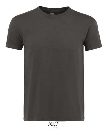 REGENT - 384 - GRIGIO SCURO