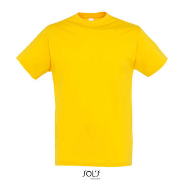 REGENT - 301 - GIALLO ORO