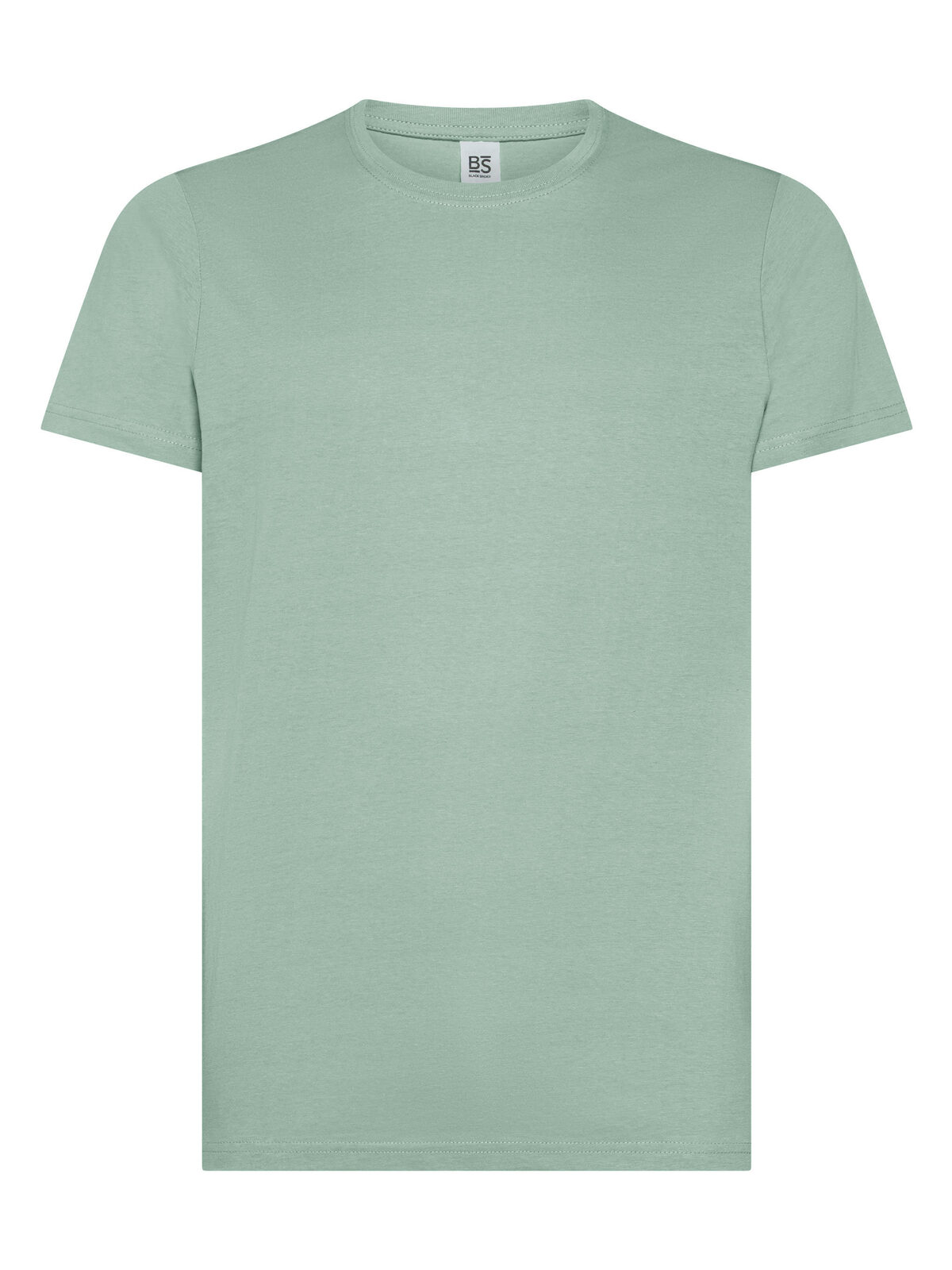 Evolution T-Shirt - SA - Sage