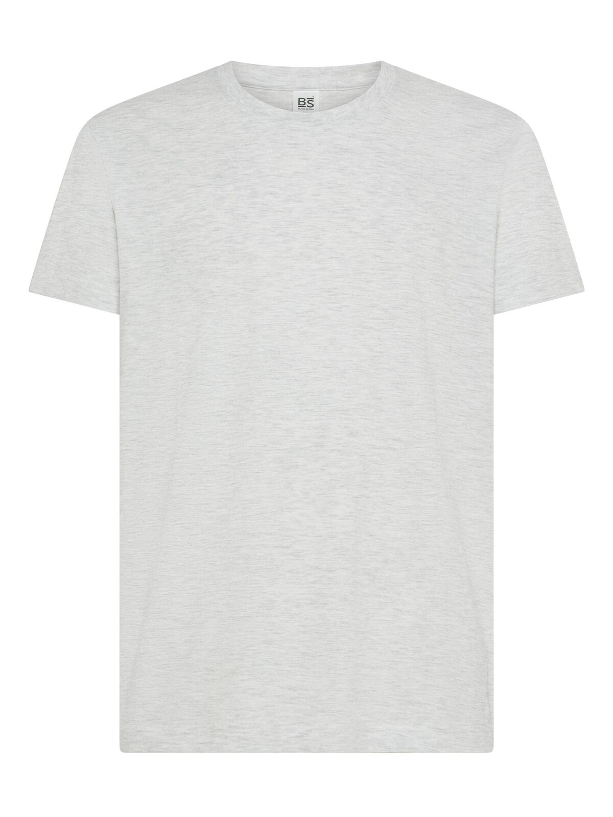 Evolution T-Shirt - AS - Ash