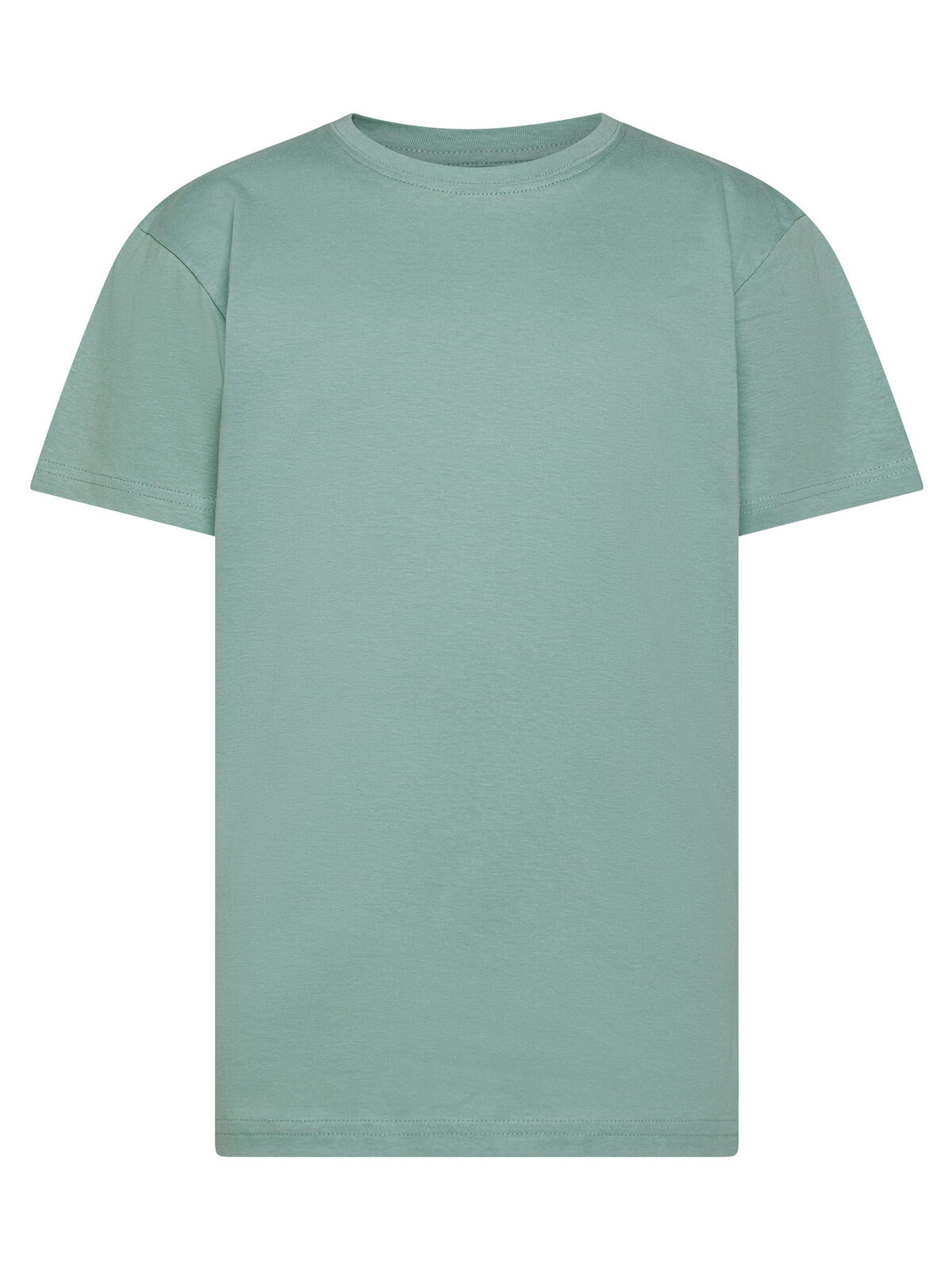 Evolution T-shirt Bambino - sage