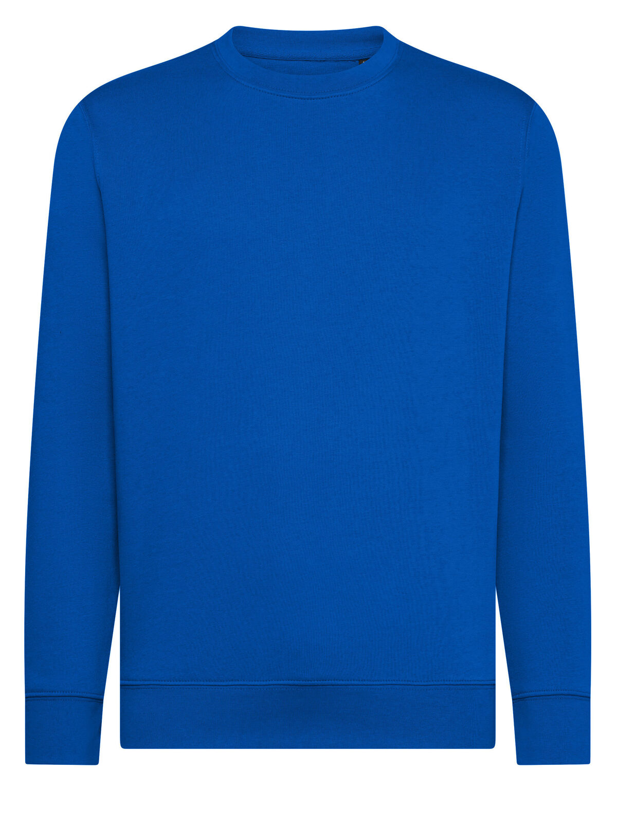Ginger - RB - Royal blue
