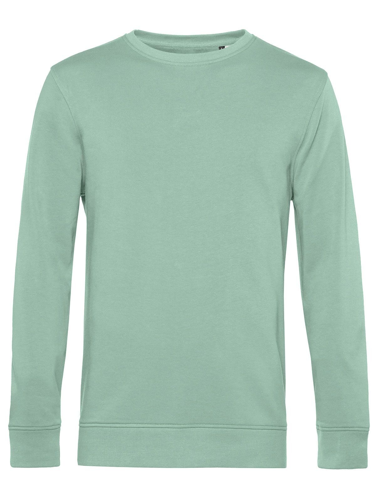 Inspire Crew Neck Sweat_° - SA502 - Sage