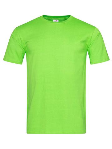 Classic Fitted - KIW - Kiwi LC