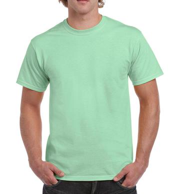 Heavy Cotton - 455 - Mint